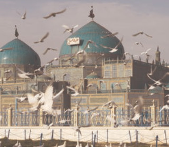 Ibne batoota journey to hazarat ali shrine